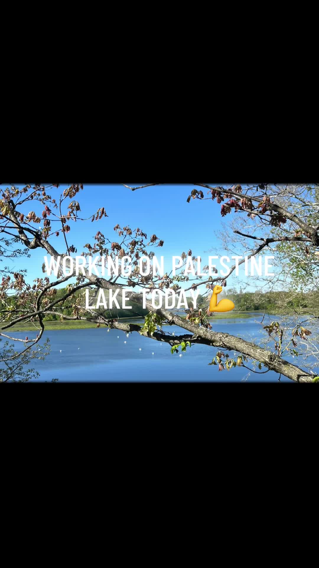 @GNF Services, LLC