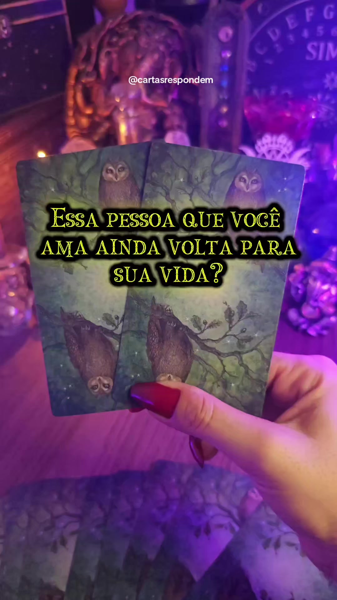 @D&eacute;bora Barbosa/tar&ocirc;