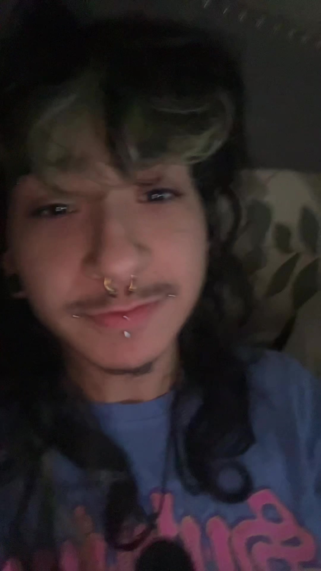 @anselll
