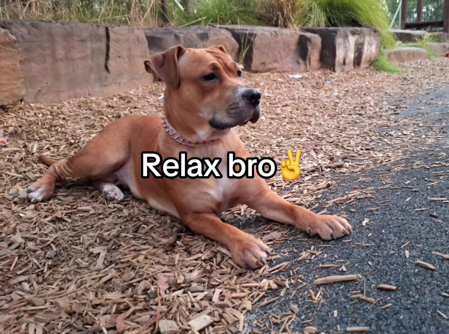 @Paw3RY