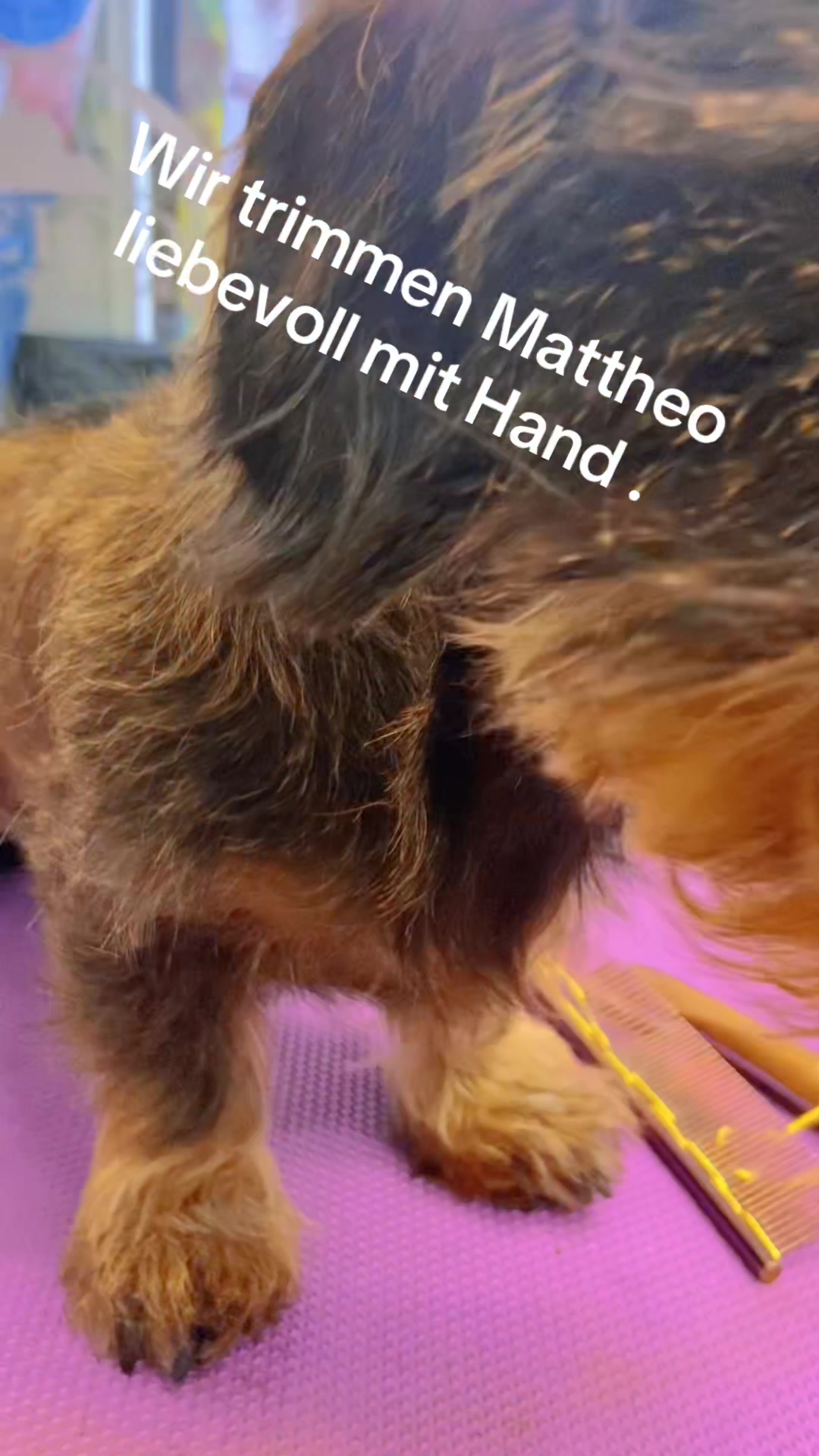 @Fellpflegerei Verena