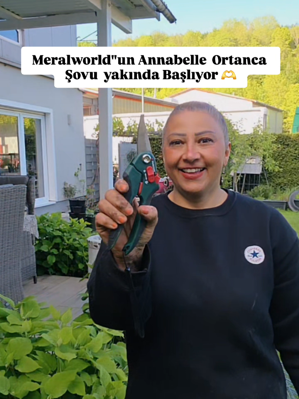 @meralworld