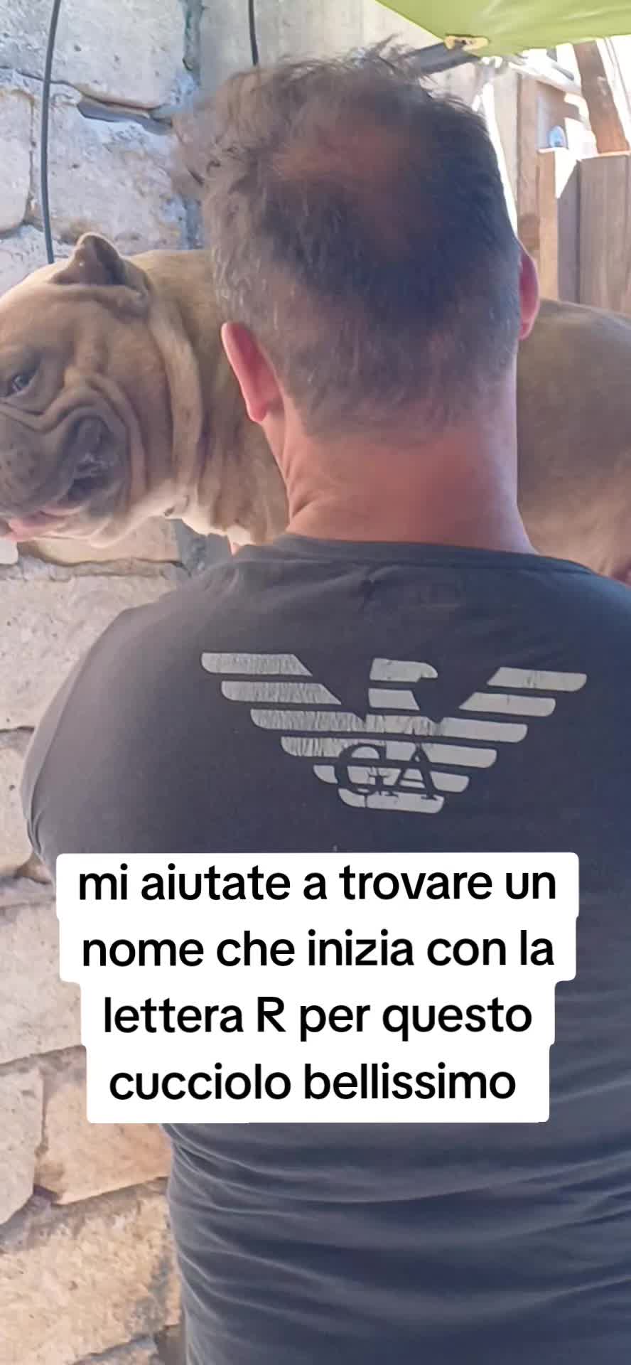 @Alfio Arcifa Magistrale