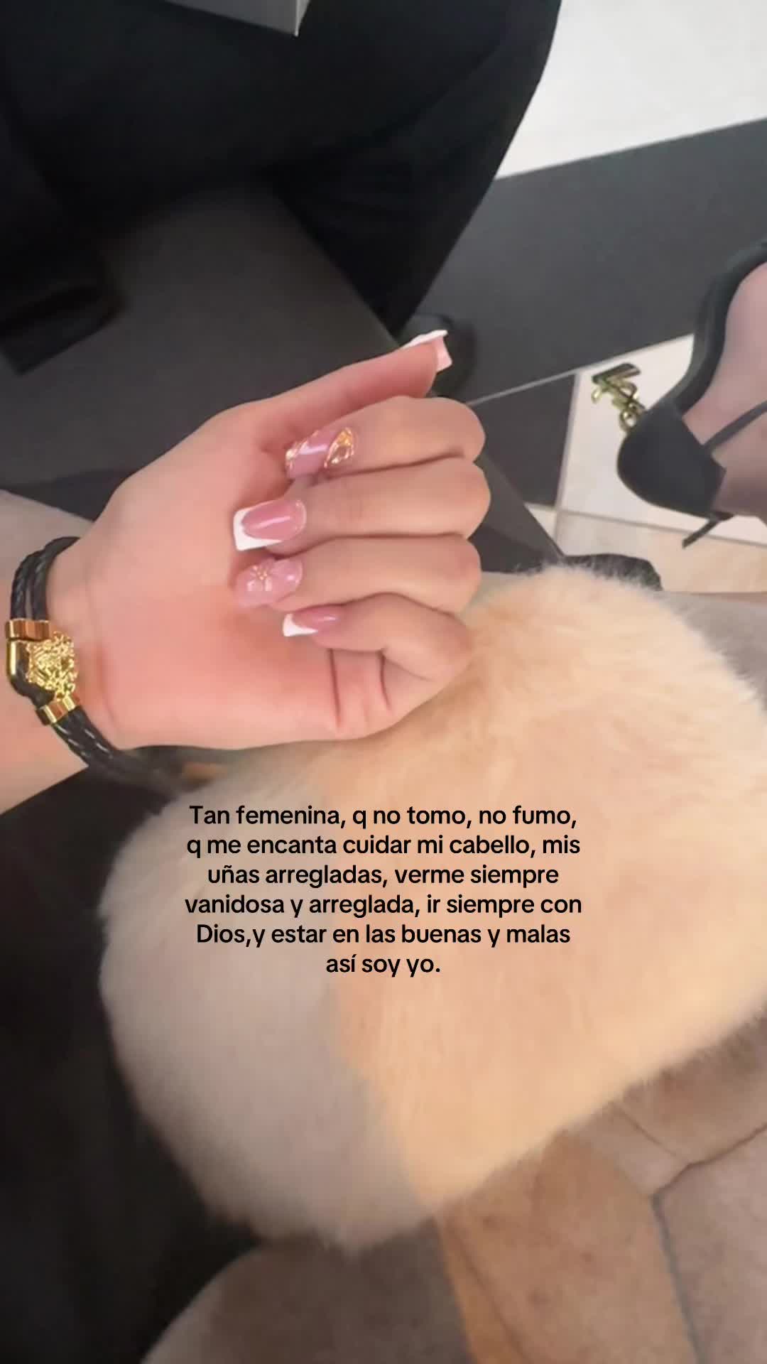 @Mosss🦖