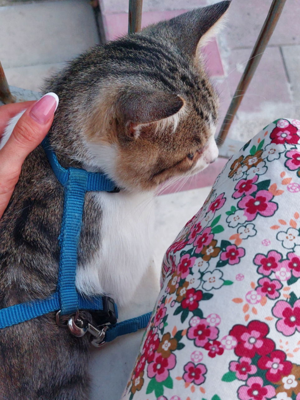 @♡_Kiko e Cicciotto_♡