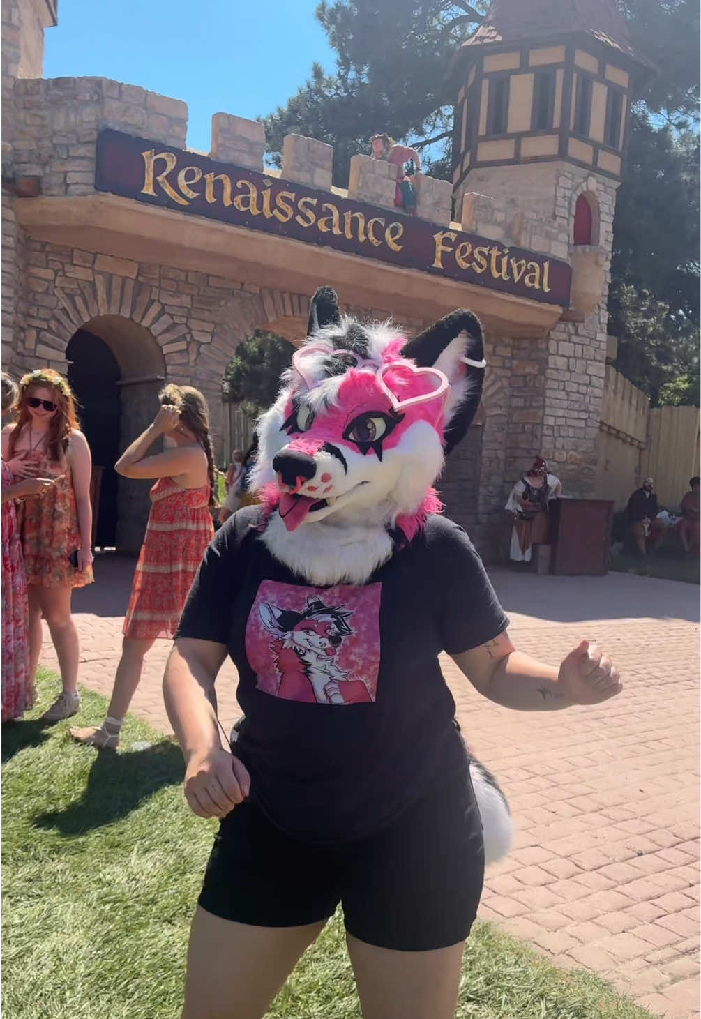 @pinkgeminihuskyofficial