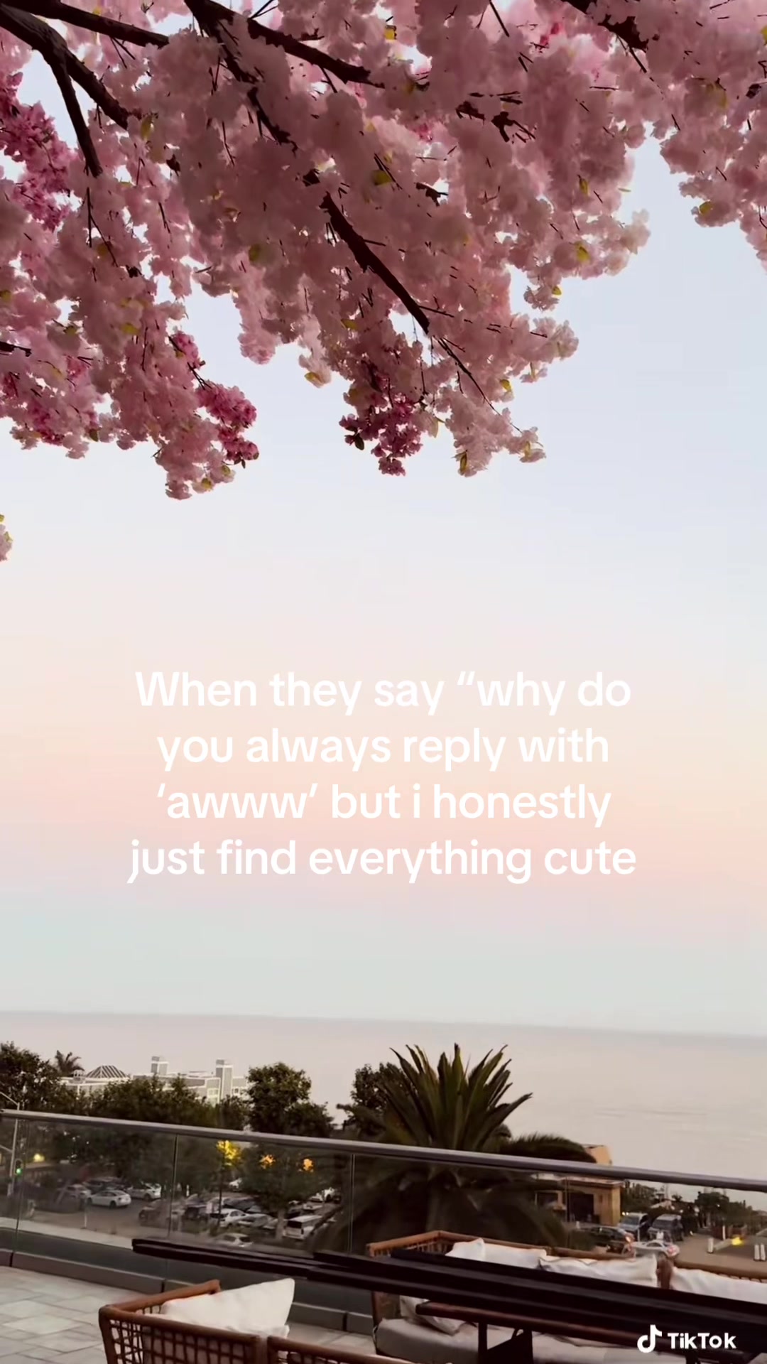 @𝐌𝐚𝐲