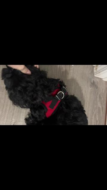 @nana_loves_tiktok