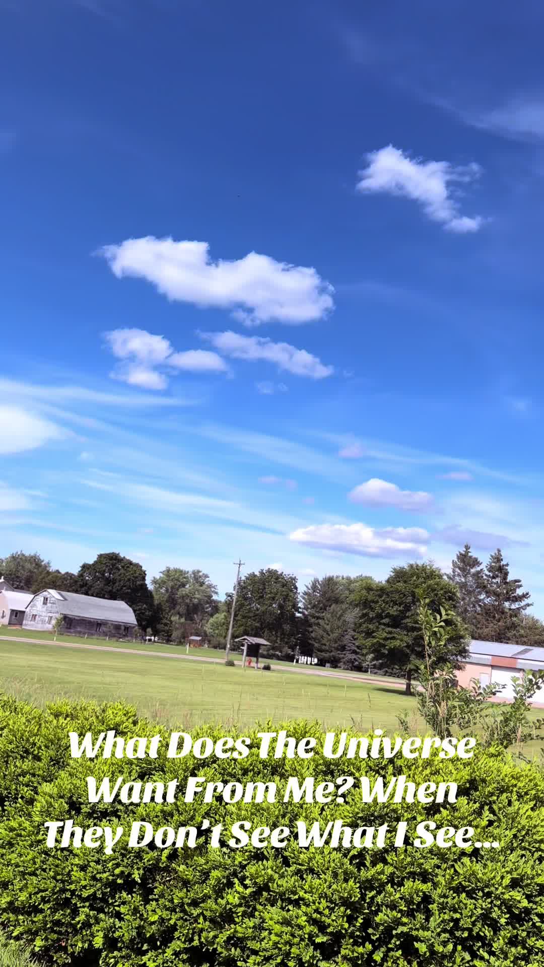 @Abigayle