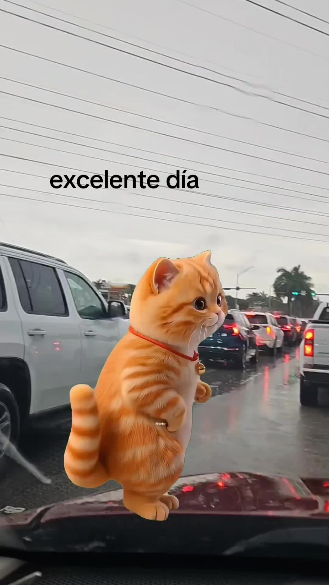 @ANJELICA@