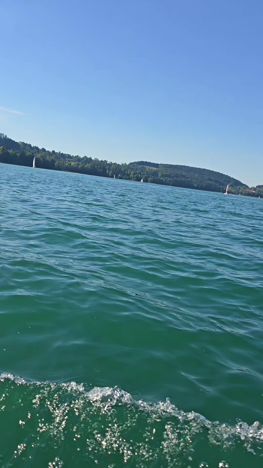 @Egzon Rexhepi