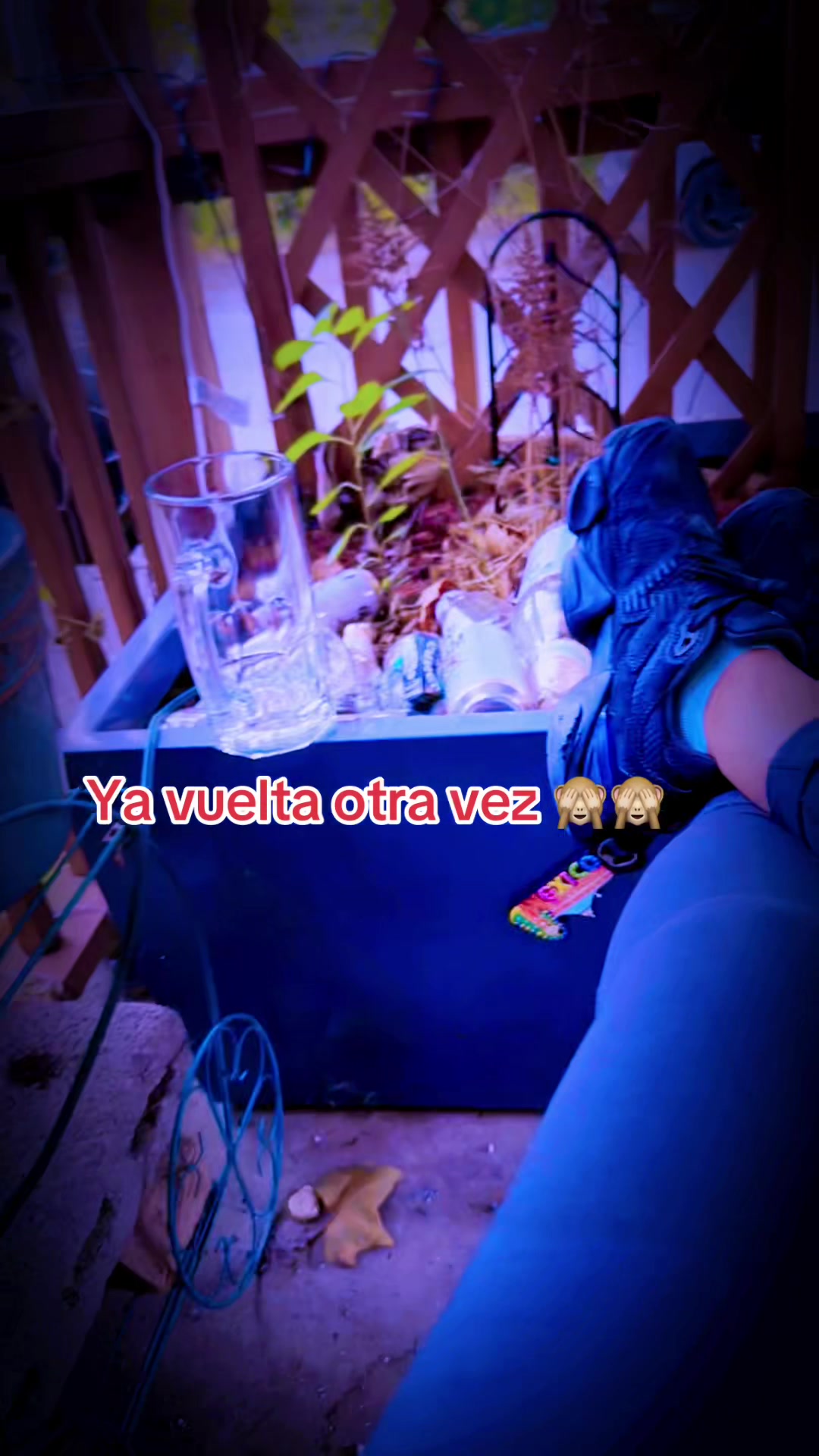 @Karamelo’s Killer 🇪🇨 🇺🇸