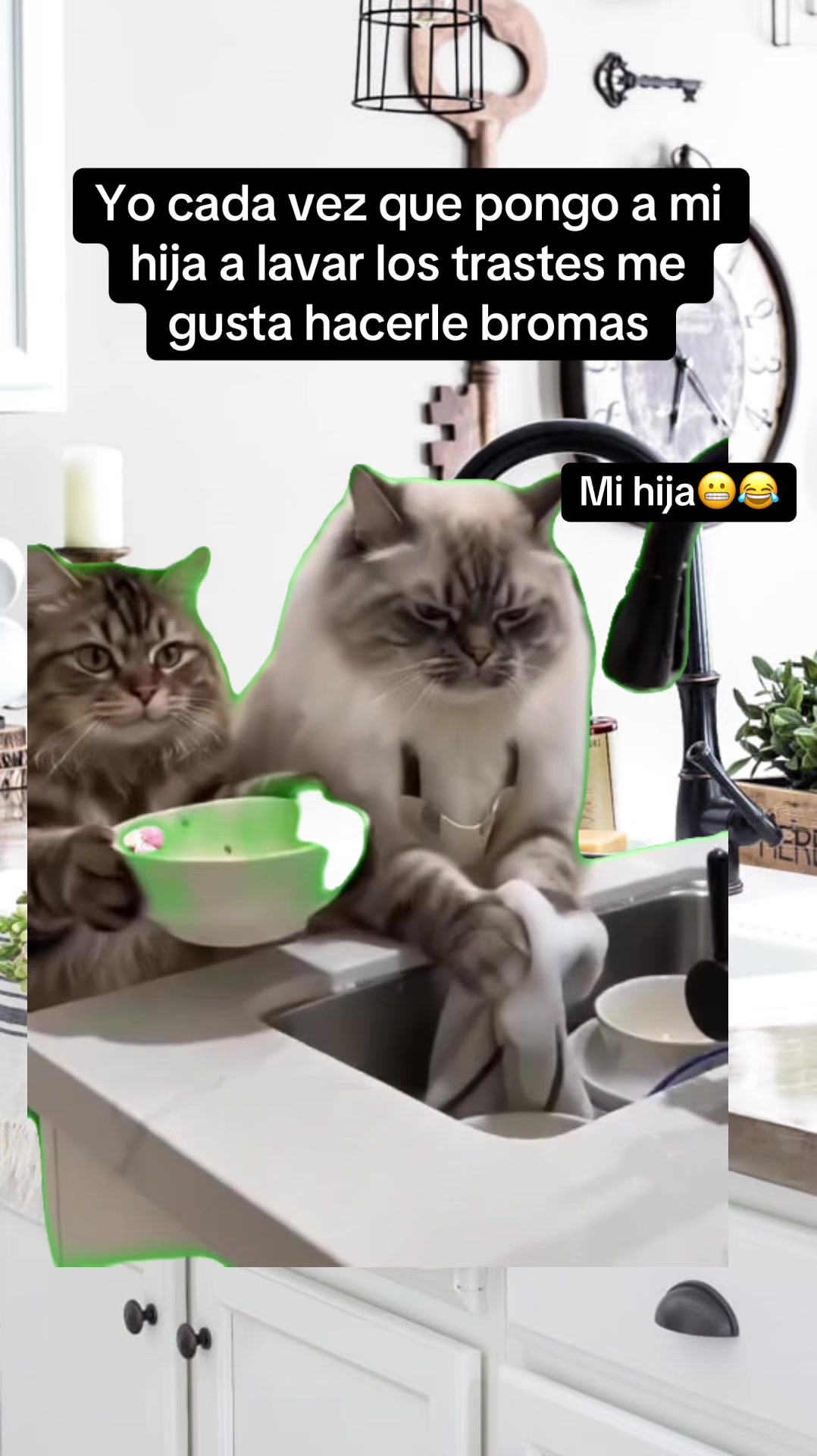 @Flakitta&Luis🫶🏻