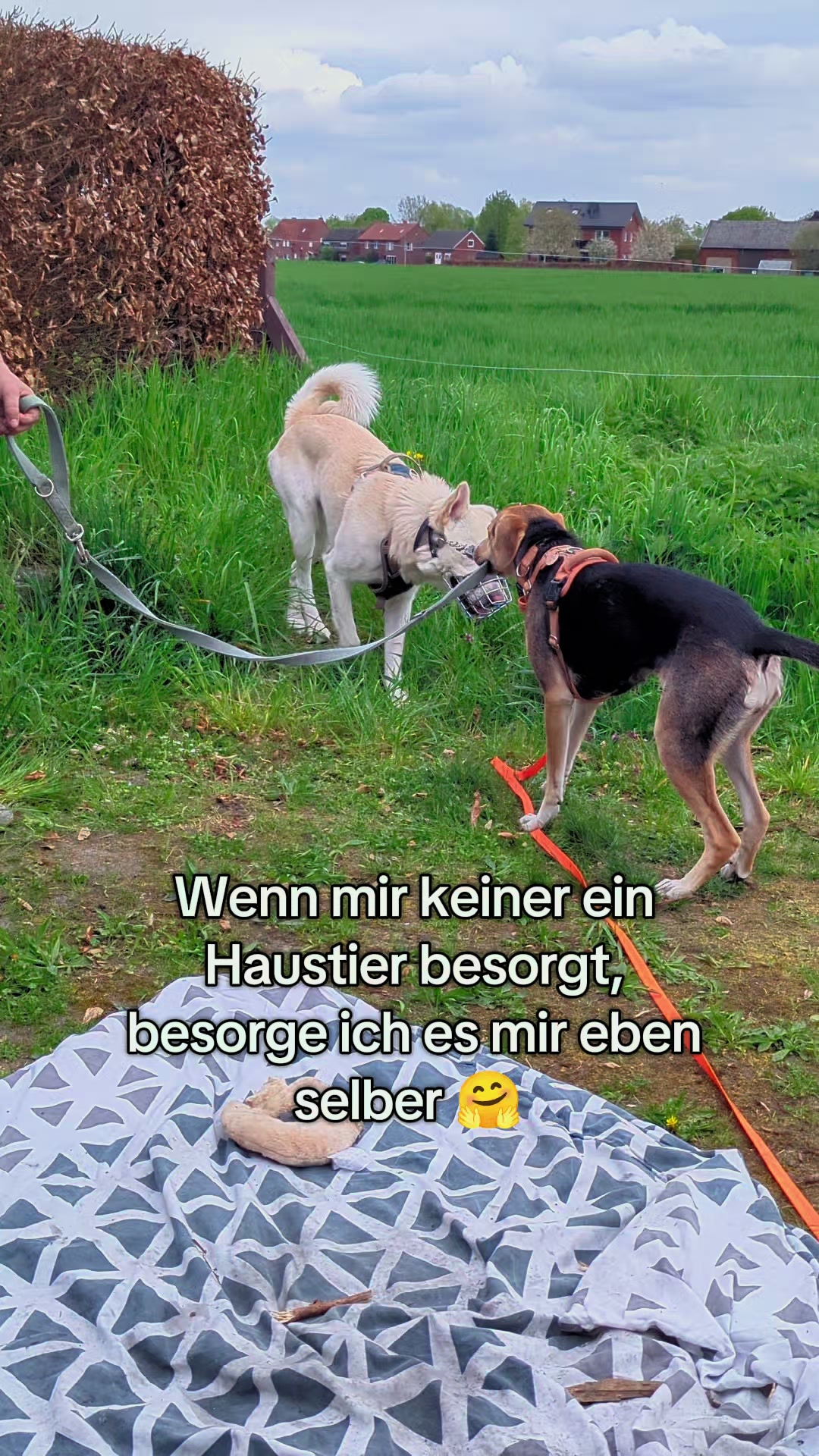 @ꪑⅈꪶꪖ ꪑꪮꪀᥴꫝꫝⅈᥴꫝⅈ