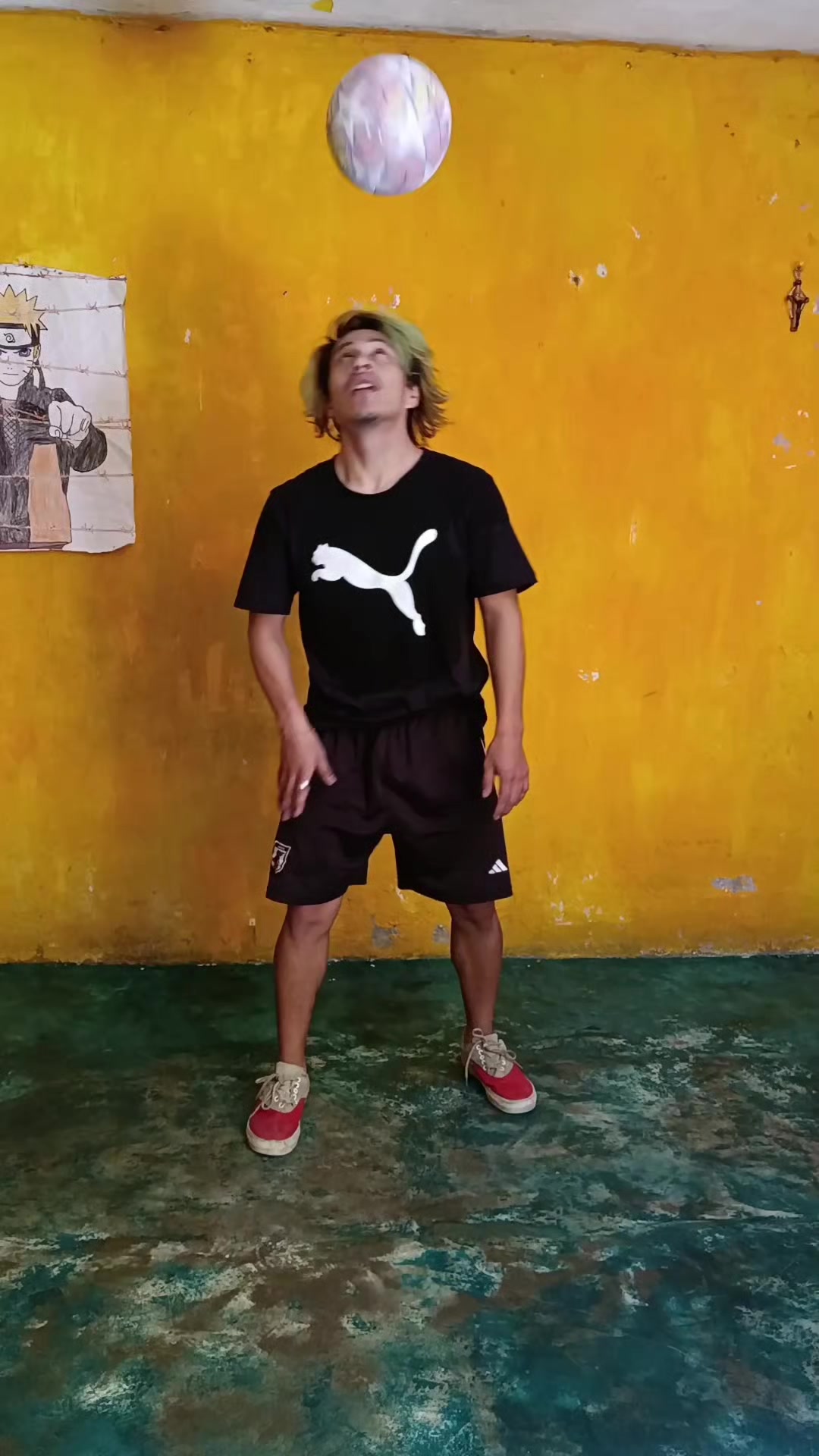 @Tendok