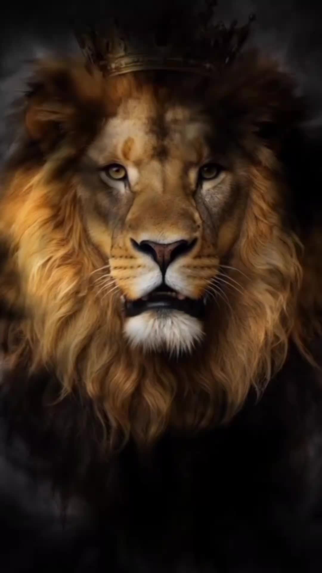 @👑🦁 Weiße Julwiza 🦁👑