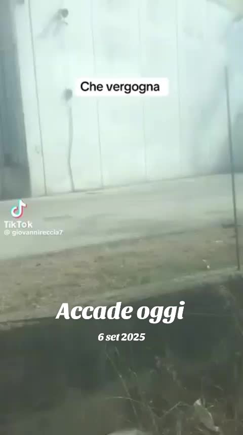 @Antonio de Rosà 0188