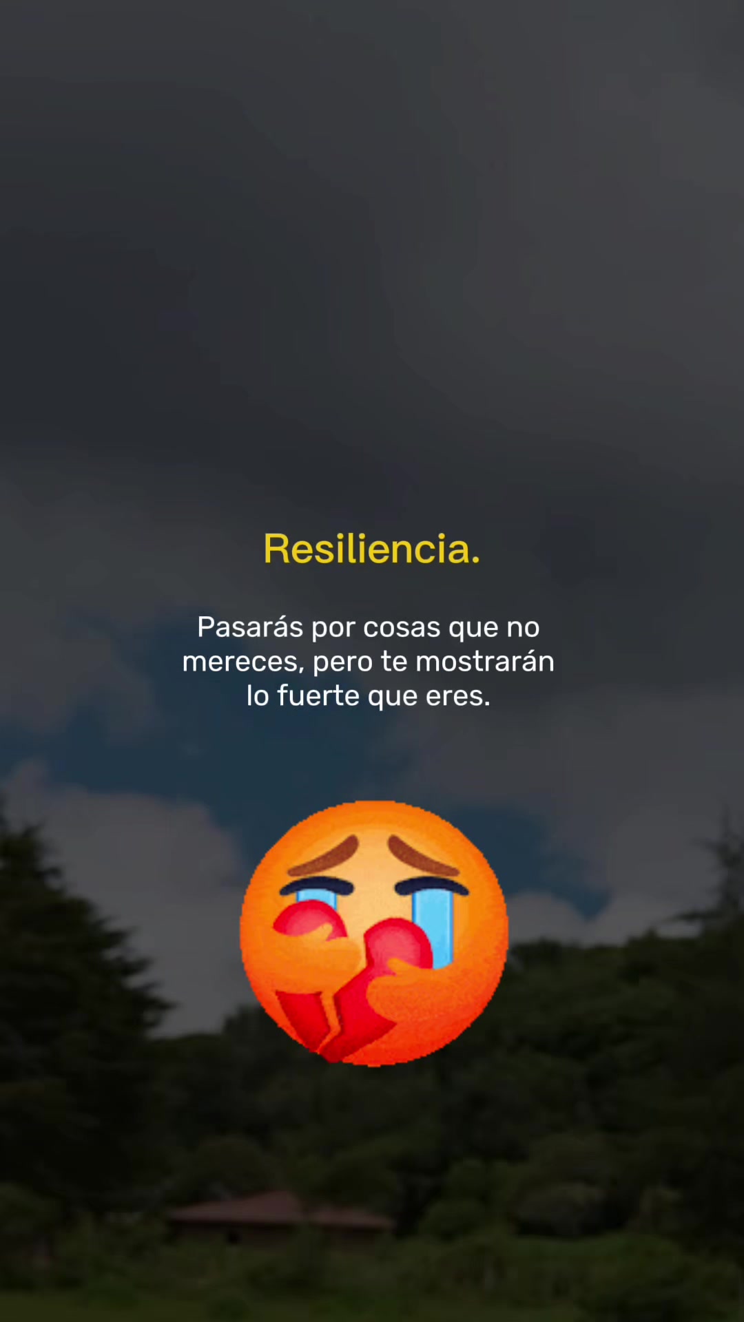 @Mabel Argueta🌻🌙🌞🦉