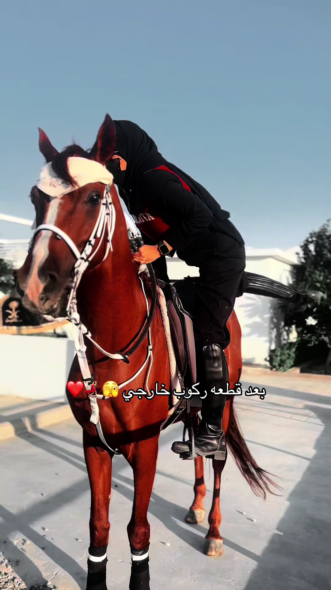 @ميكاسَا العَرب 🌟