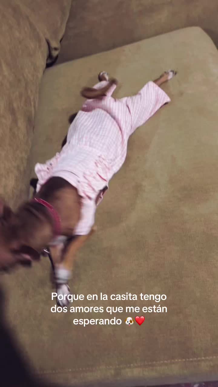 @𝑀𝒶𝓎🐉