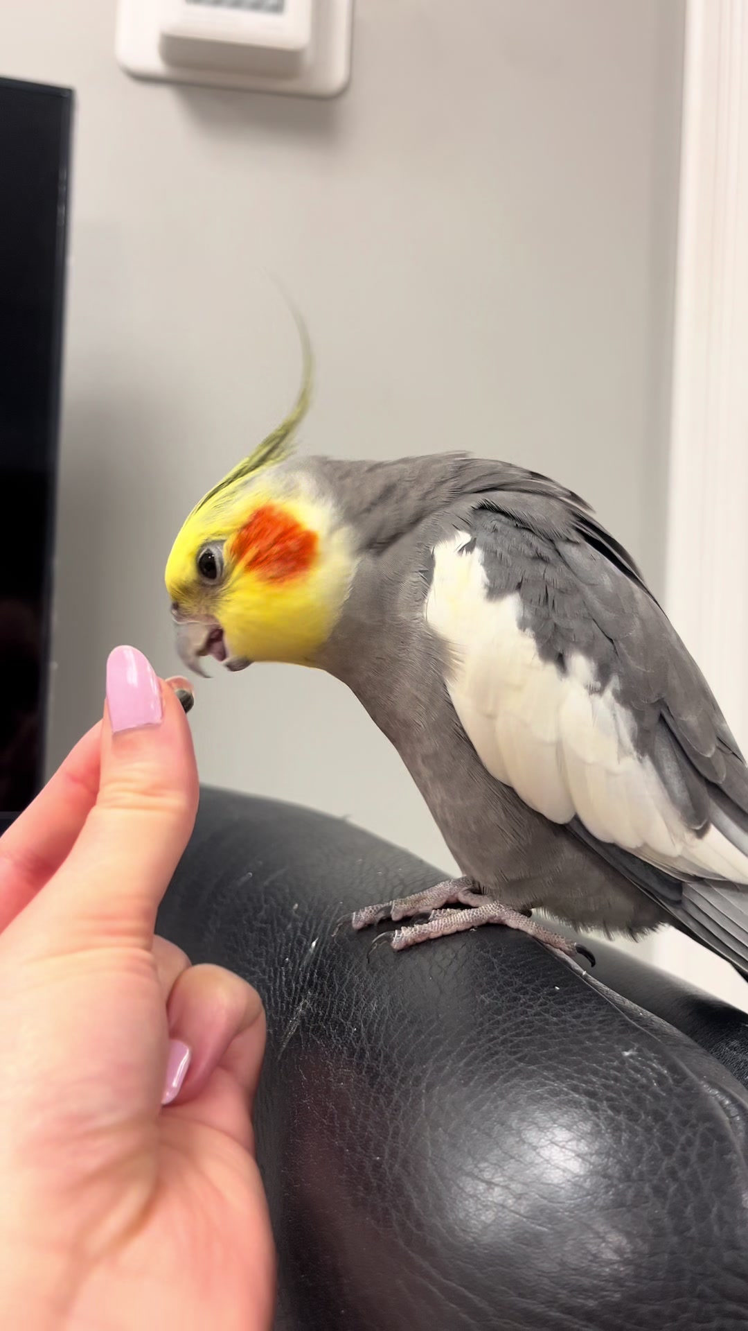 @Emery The Branch Manager