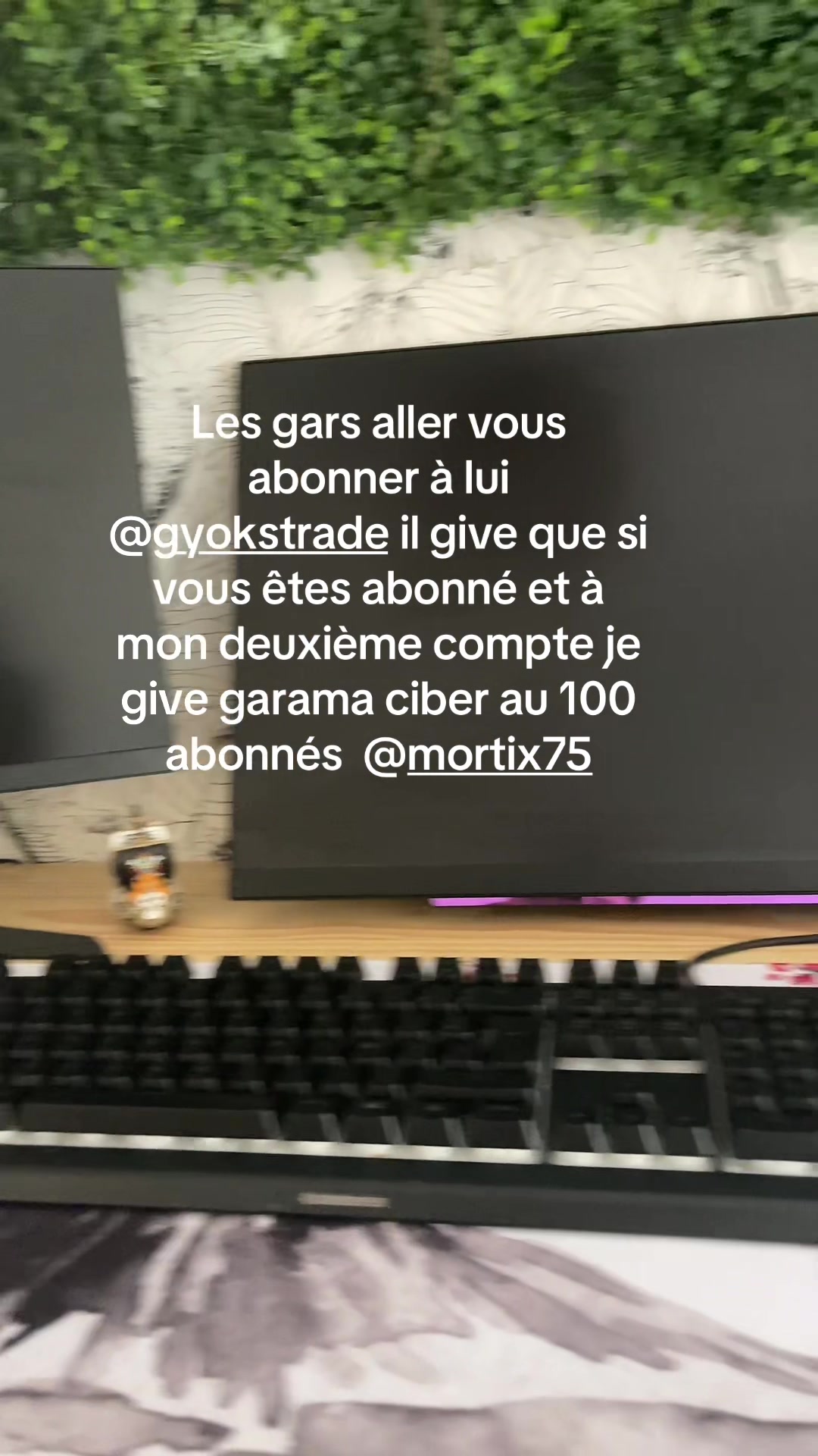 @mortix83