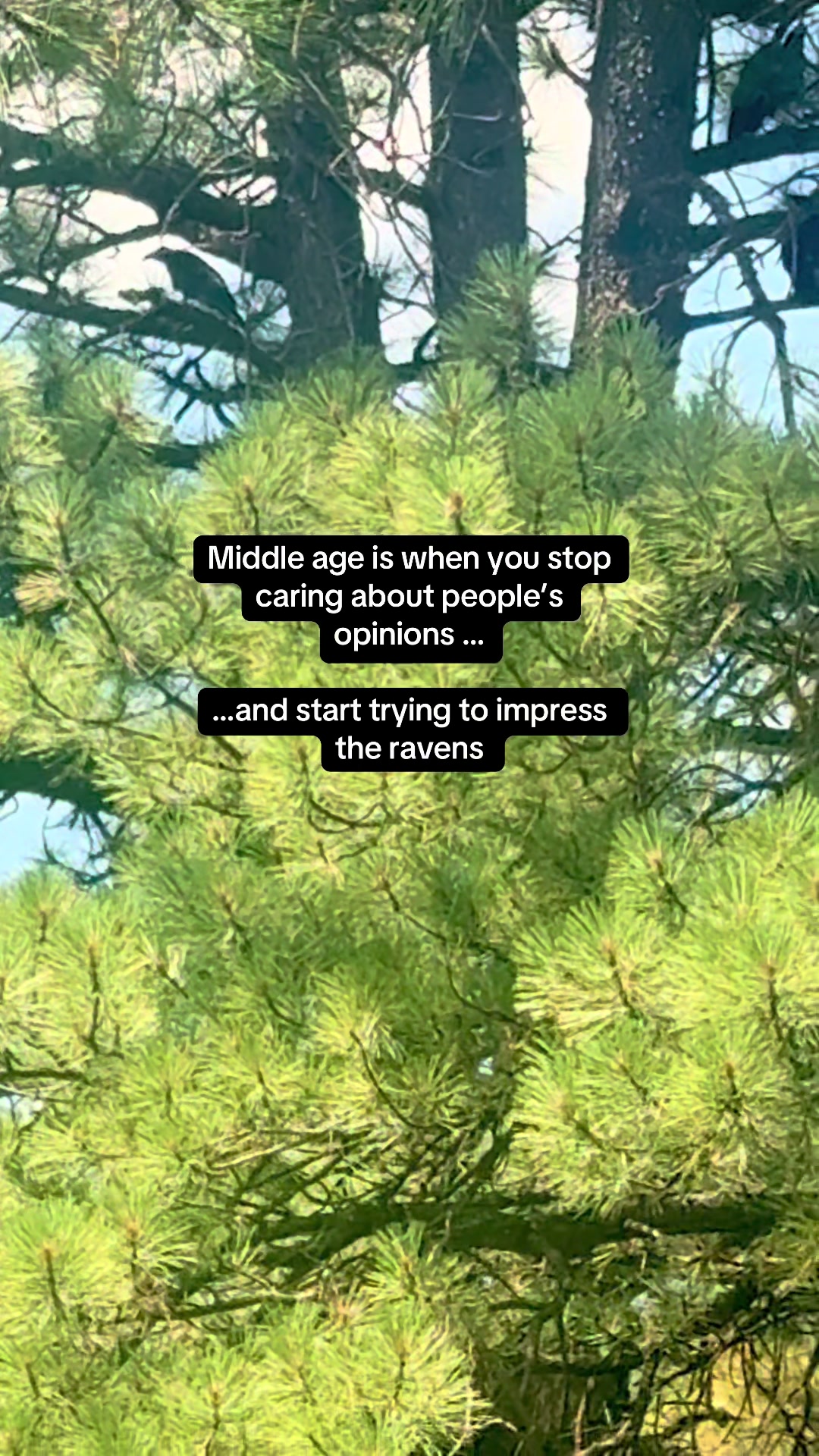 @Jasmin | A Rooted Life