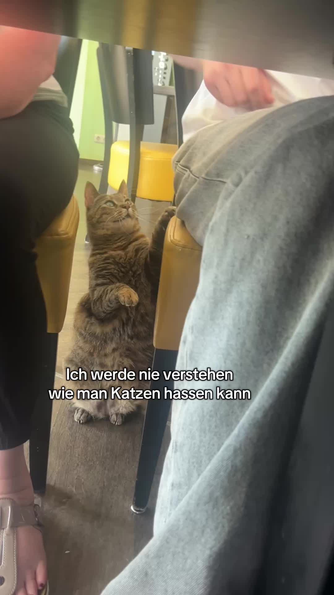 @𝓛𝓮𝓸𝓷𝓲𝓮_🇩🇪🍁