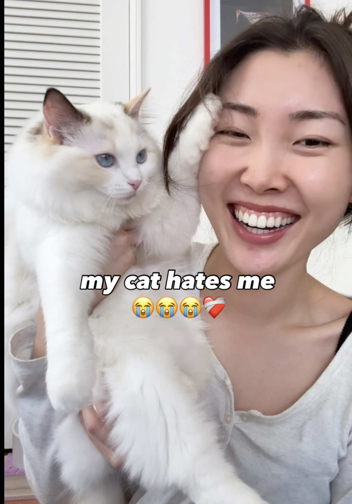 @hnh ✧