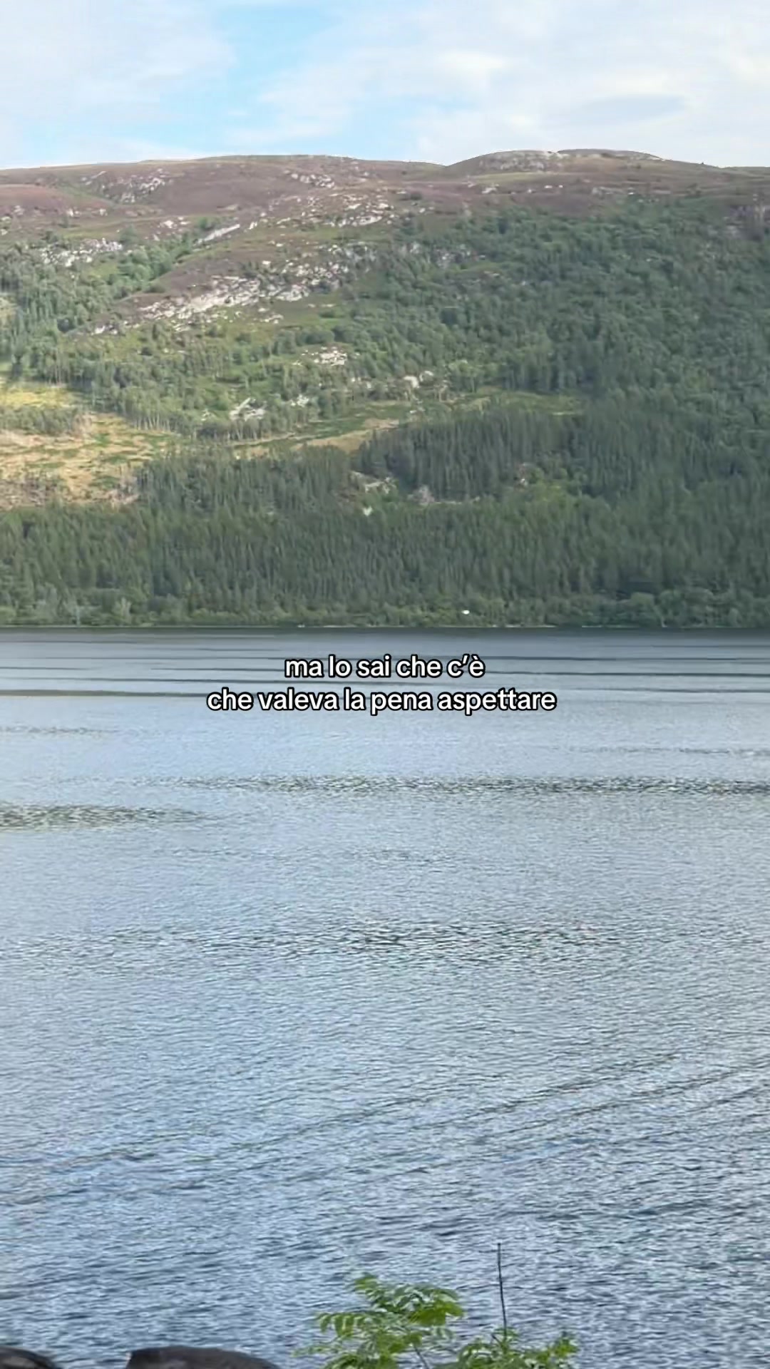 @alfa fan