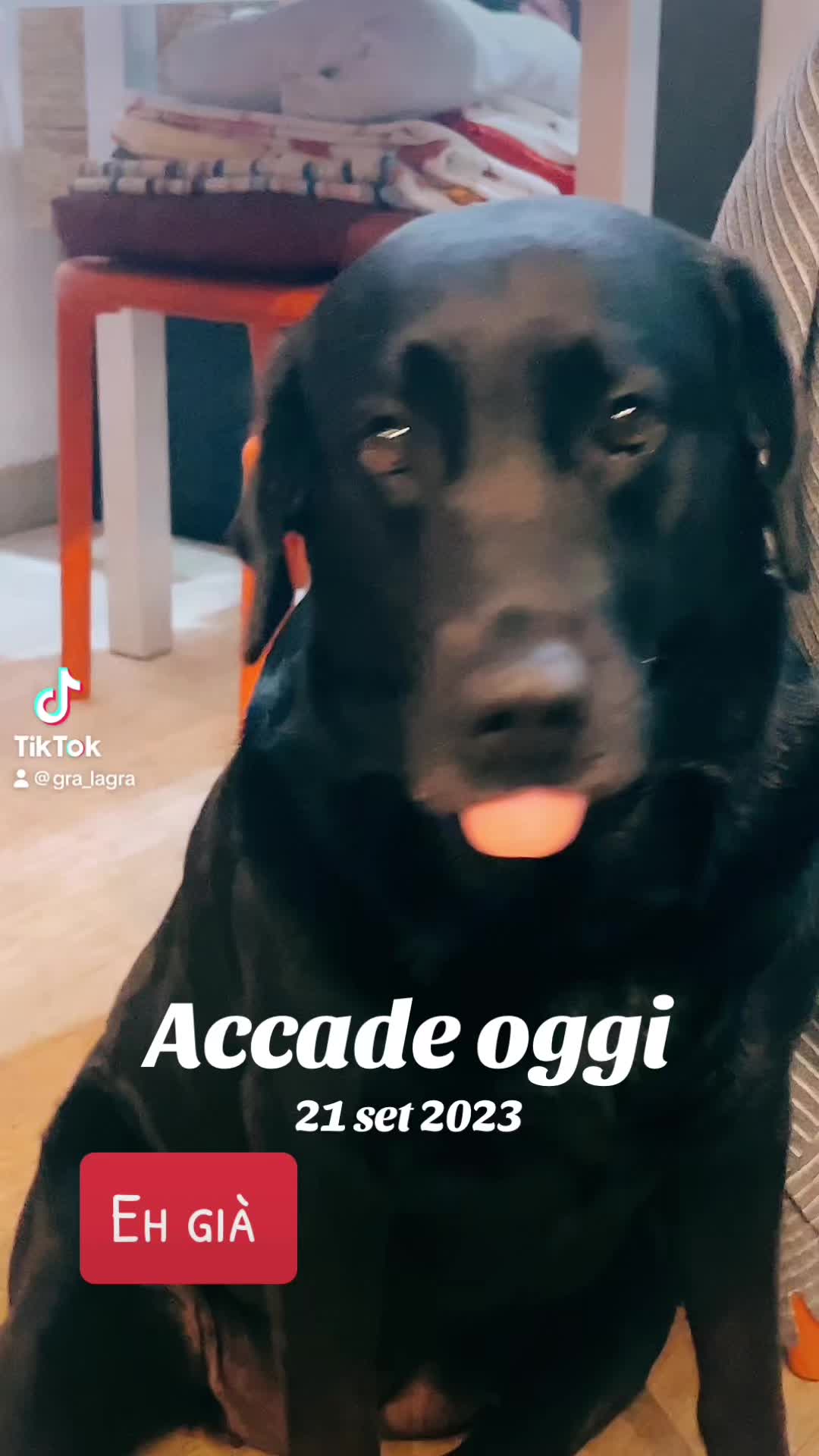 @Gra_Lagra_👑