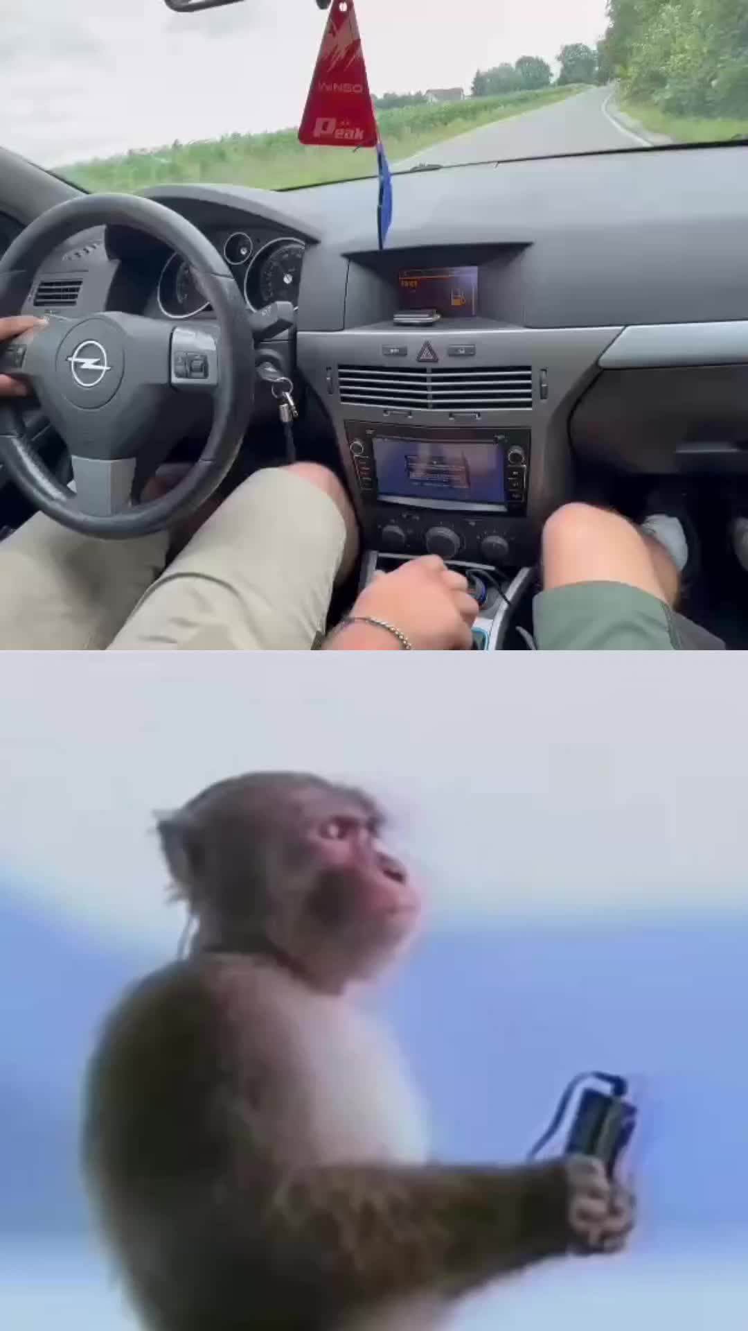 @kvbuus_2.0