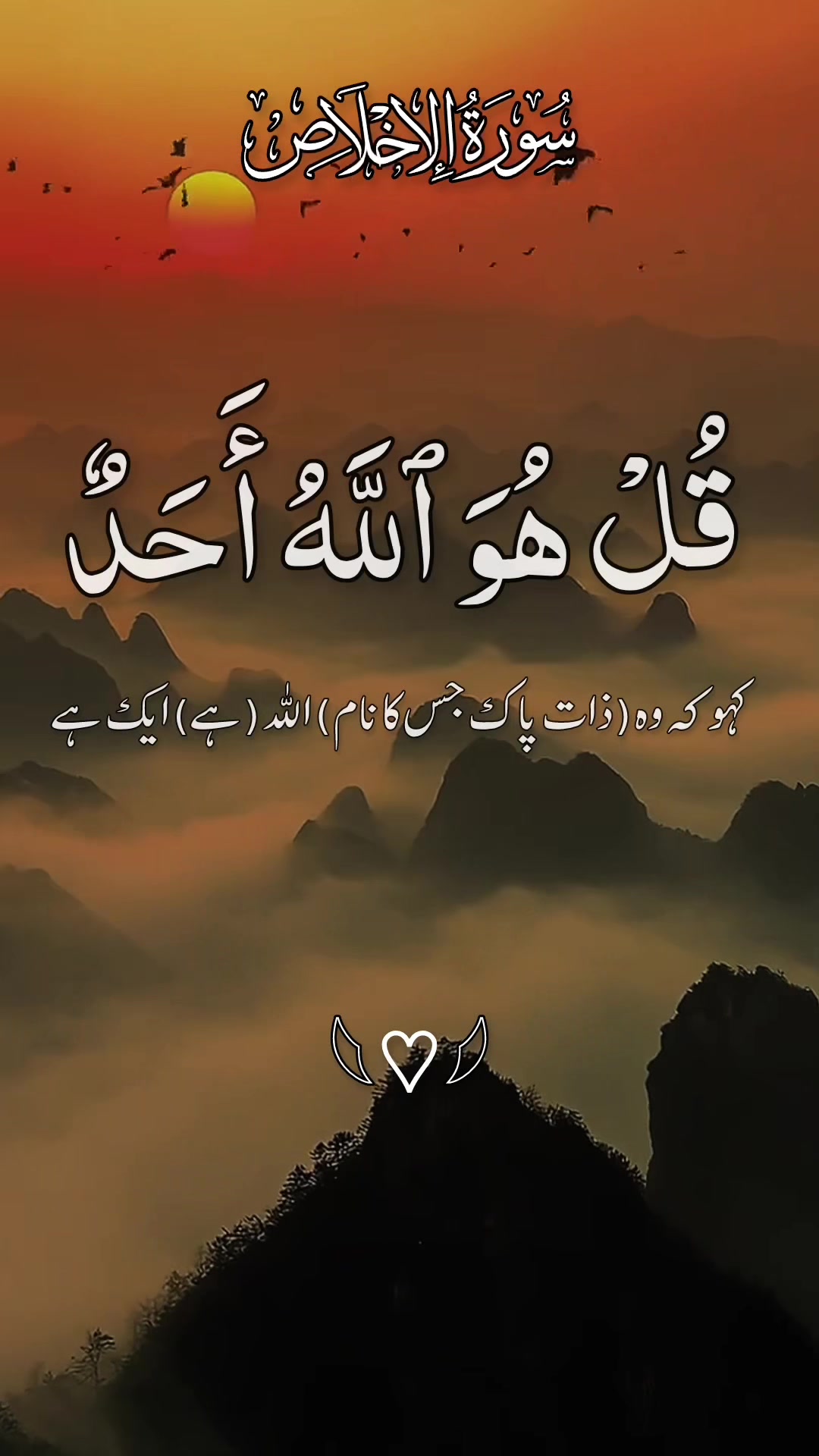 @❣️ Words of Allah ❣️