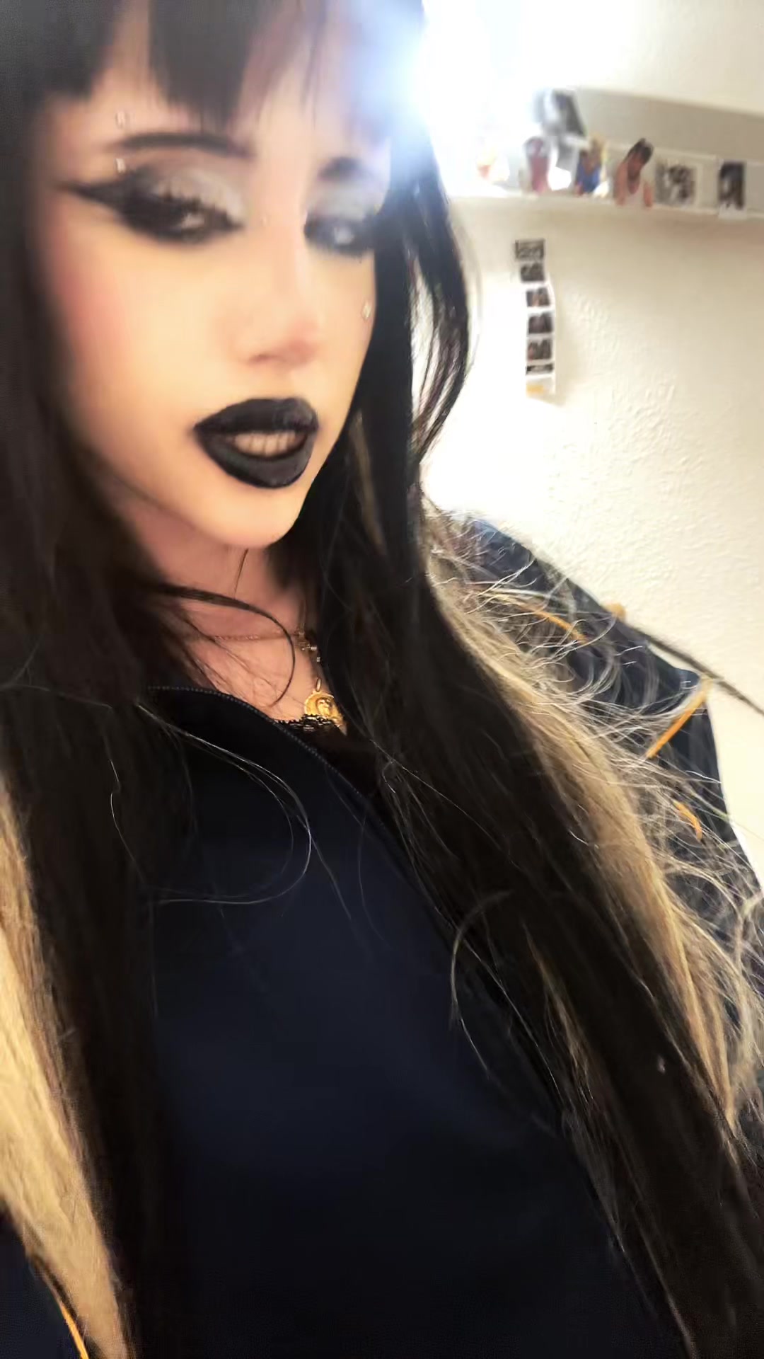 @chatdinosaure