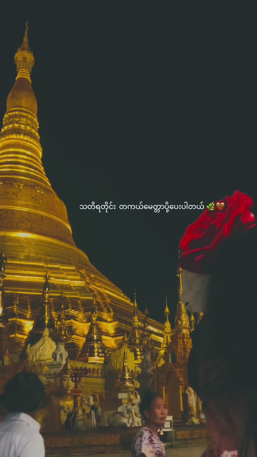 @🍀 Khun Mai 🍀 (Khun Mai Linn)