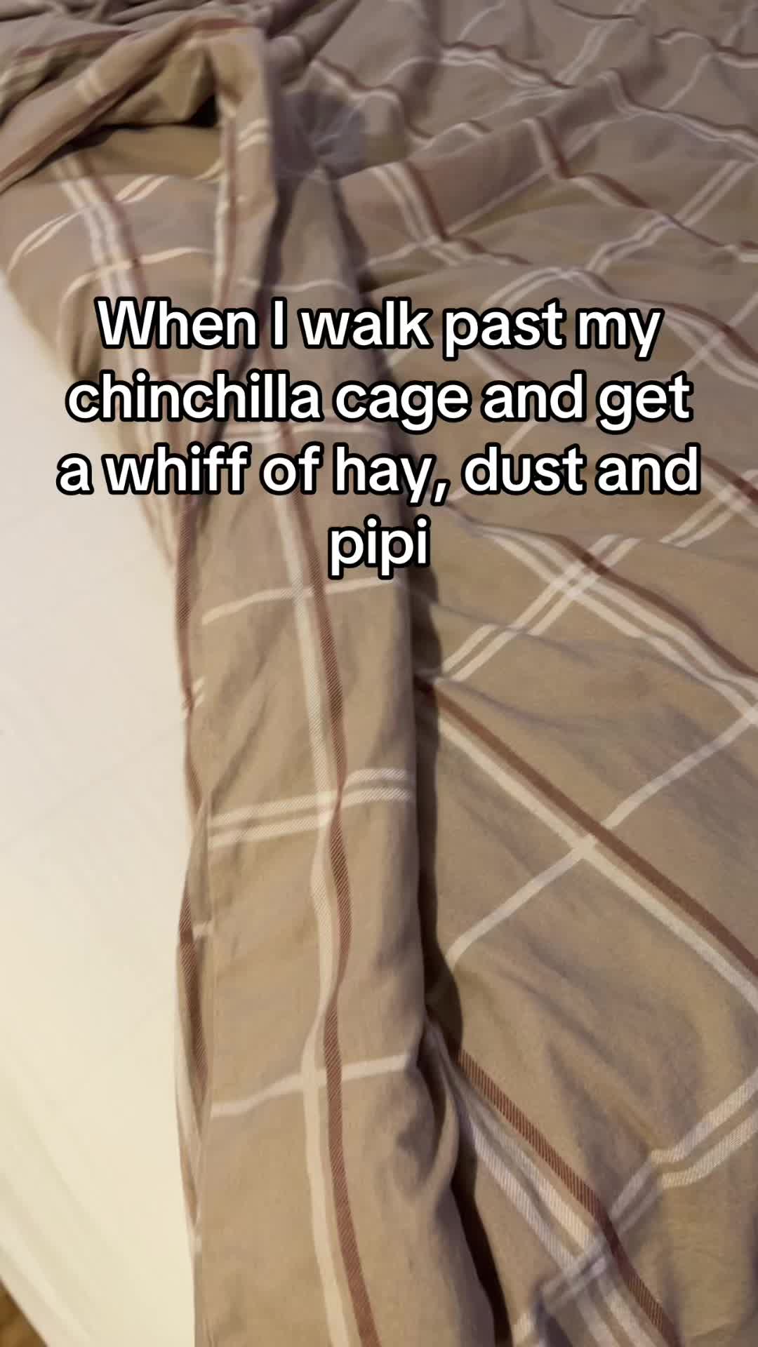 @BANDIT & STRIPE