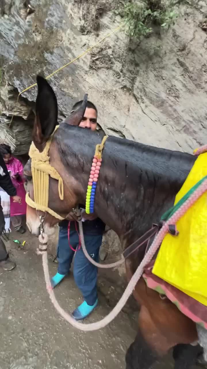 @Desifoodie0