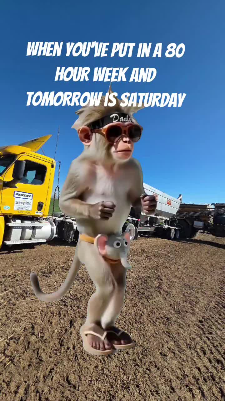 @79twotonehotrod
