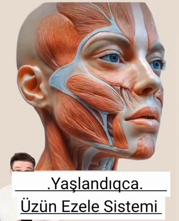 @Dr.Zamanov_Cemil