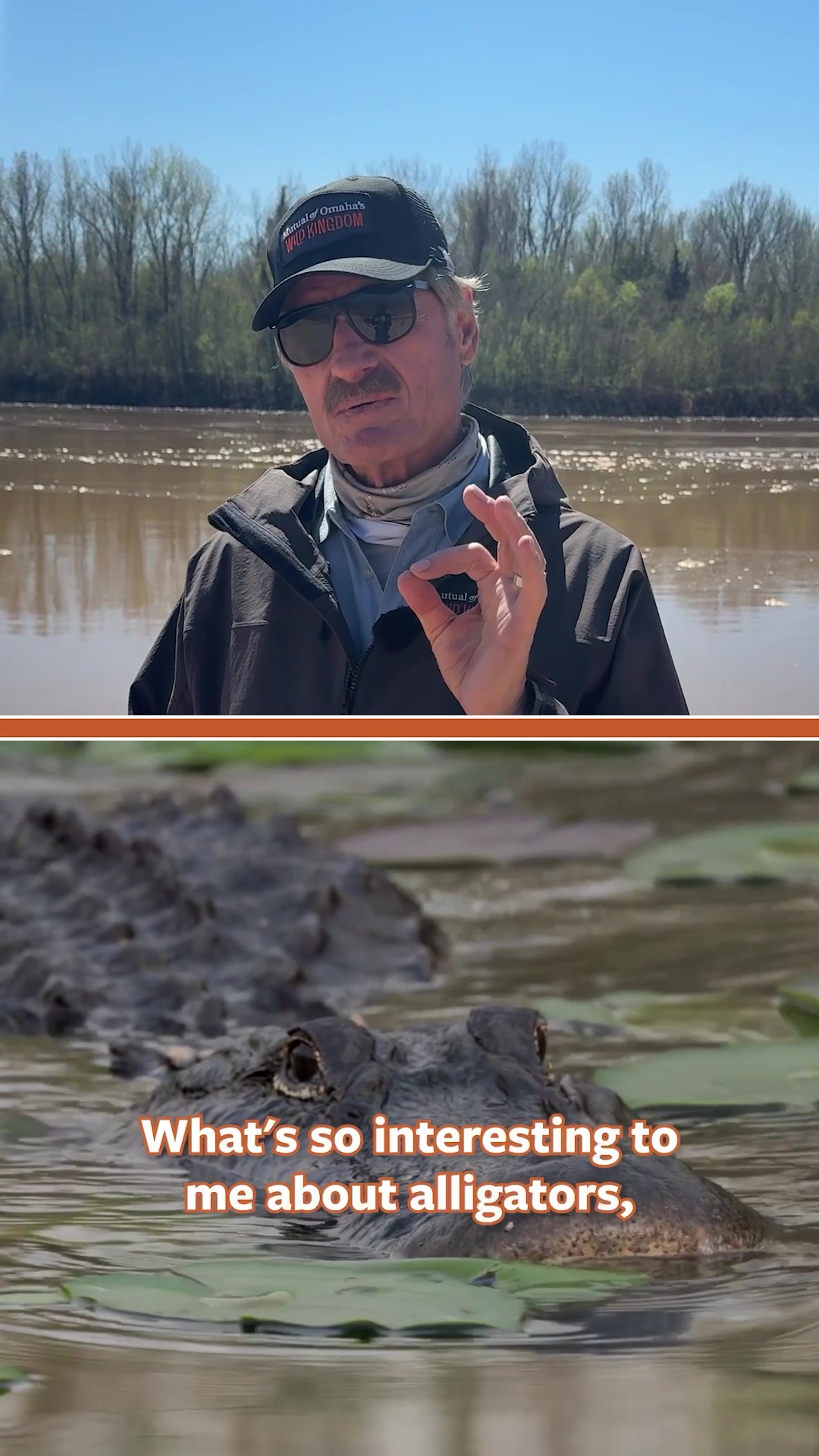 @Mutual of Omaha's Wild Kingdom