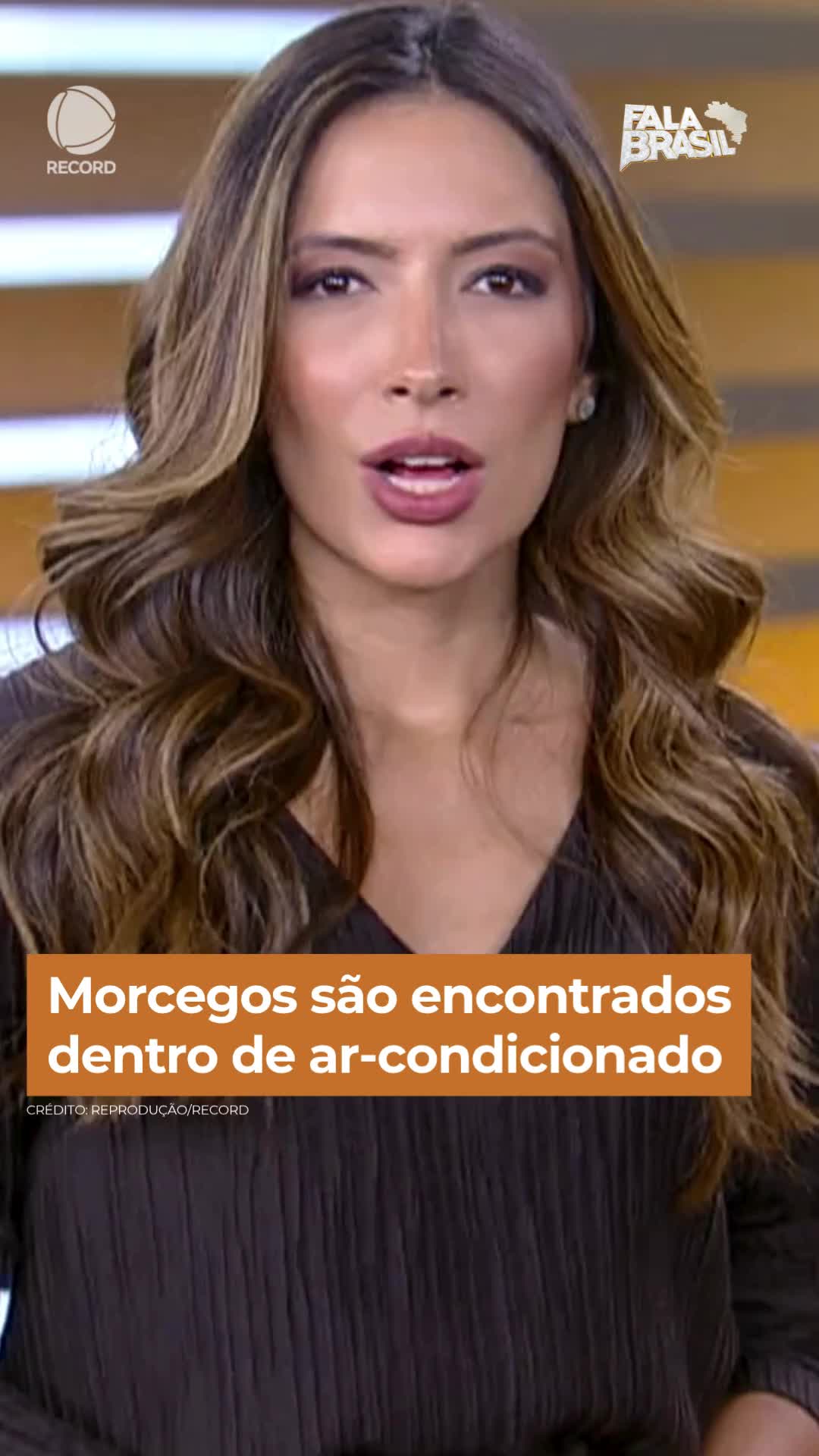 @Fala Brasil