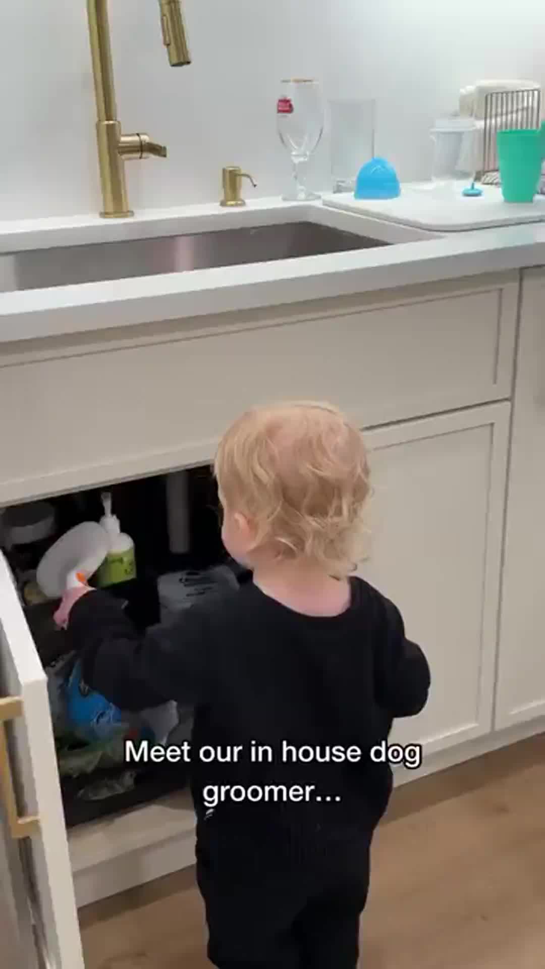 @Dev | mom + dog mom