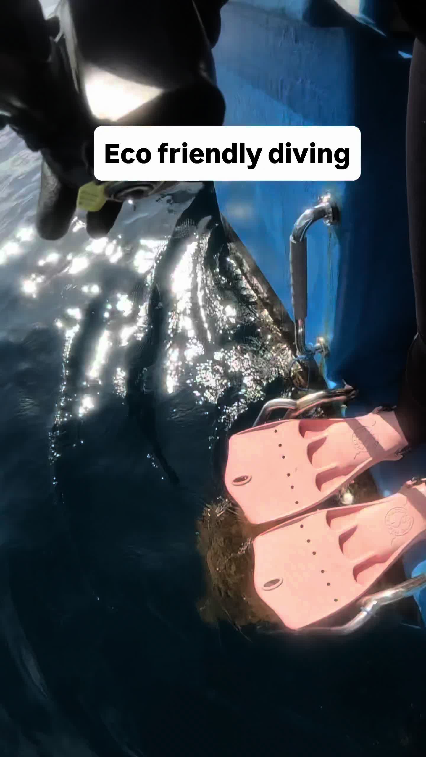 @The Dive Compass