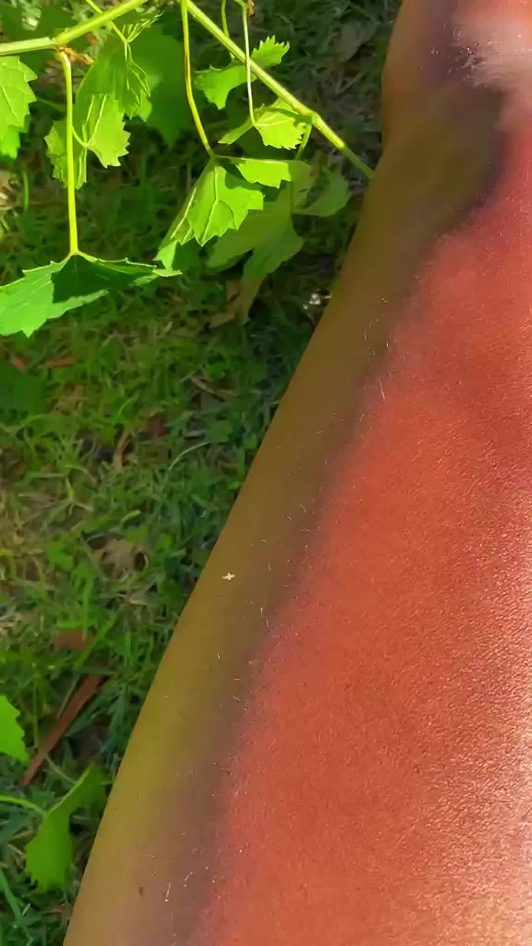 @Sasha 🌱Yoga Inspo