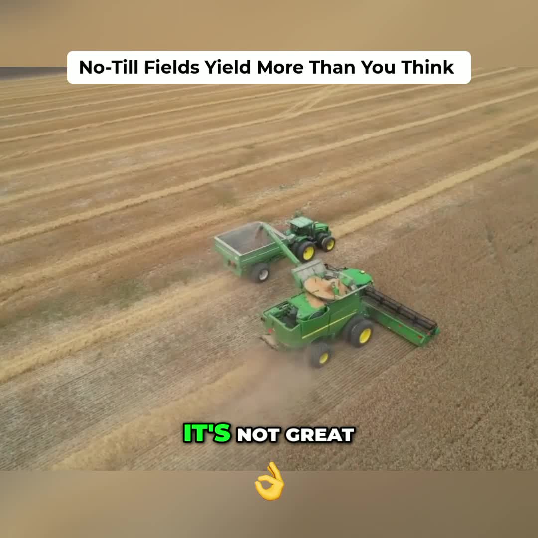 @Kip Siegler Farming