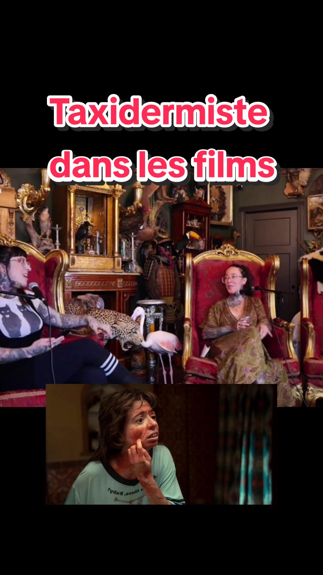 @Les Curieuses
