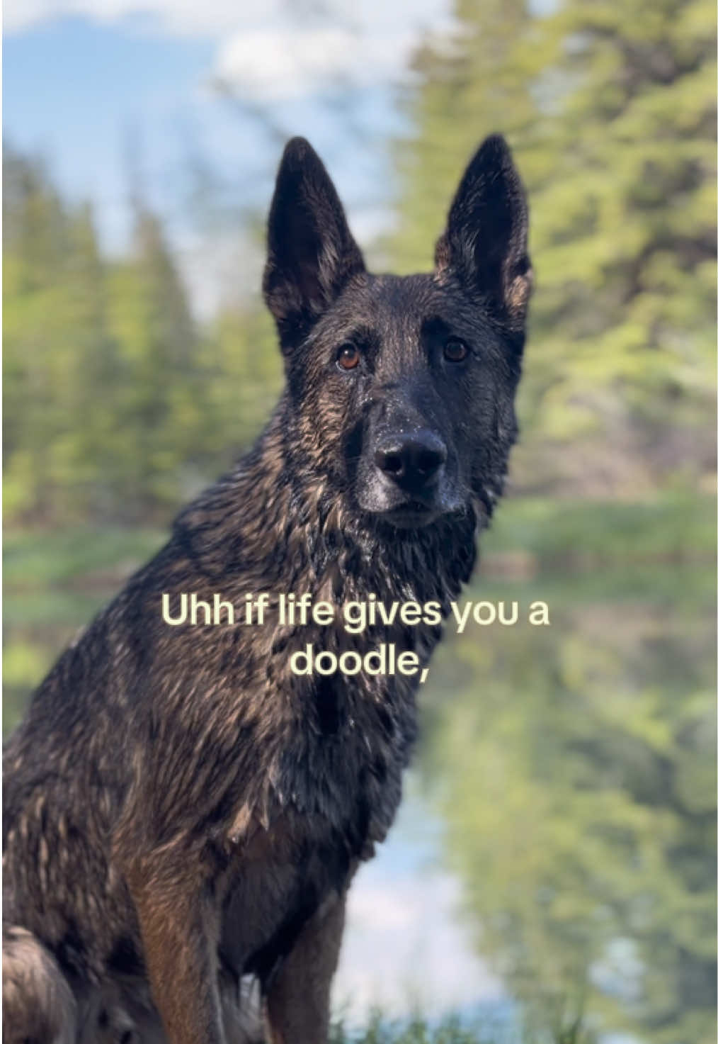 @𝐌𝐨𝐨𝐬𝐞