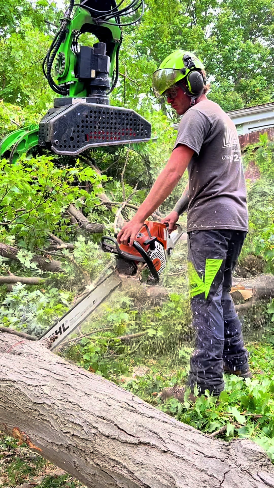 @kravitztreeservice