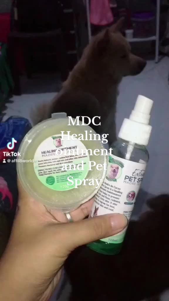 @MommaCha_ 🎀🌸🤱