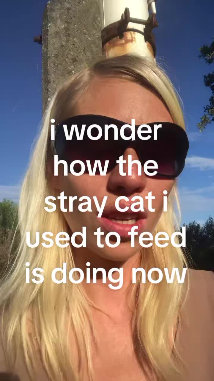 @^°^